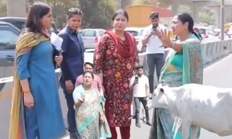 रेखा गुप्ता की नई पहल, अब सड़कों पर नहीं दिखेंगी आवारा गायें न होगी गंदगी