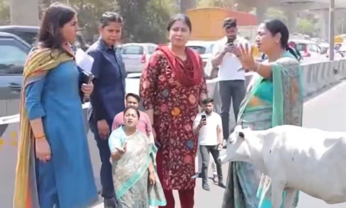 रेखा गुप्ता की नई पहल, अब सड़कों पर नहीं दिखेंगी आवारा गायें न होगी गंदगी