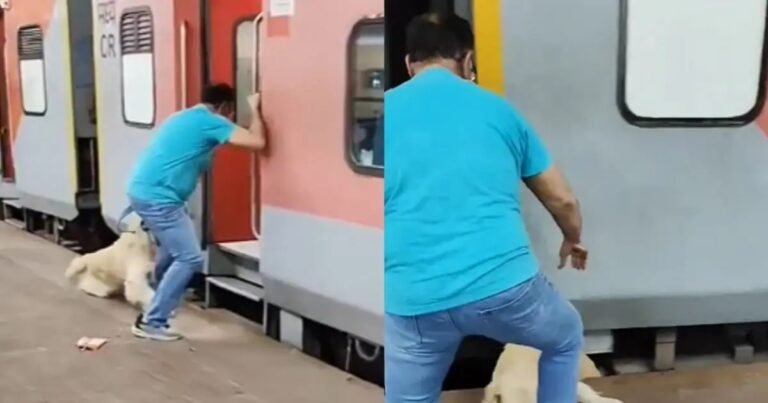 WhatsApp Image 2025-04-03 at 12.38.36 PM