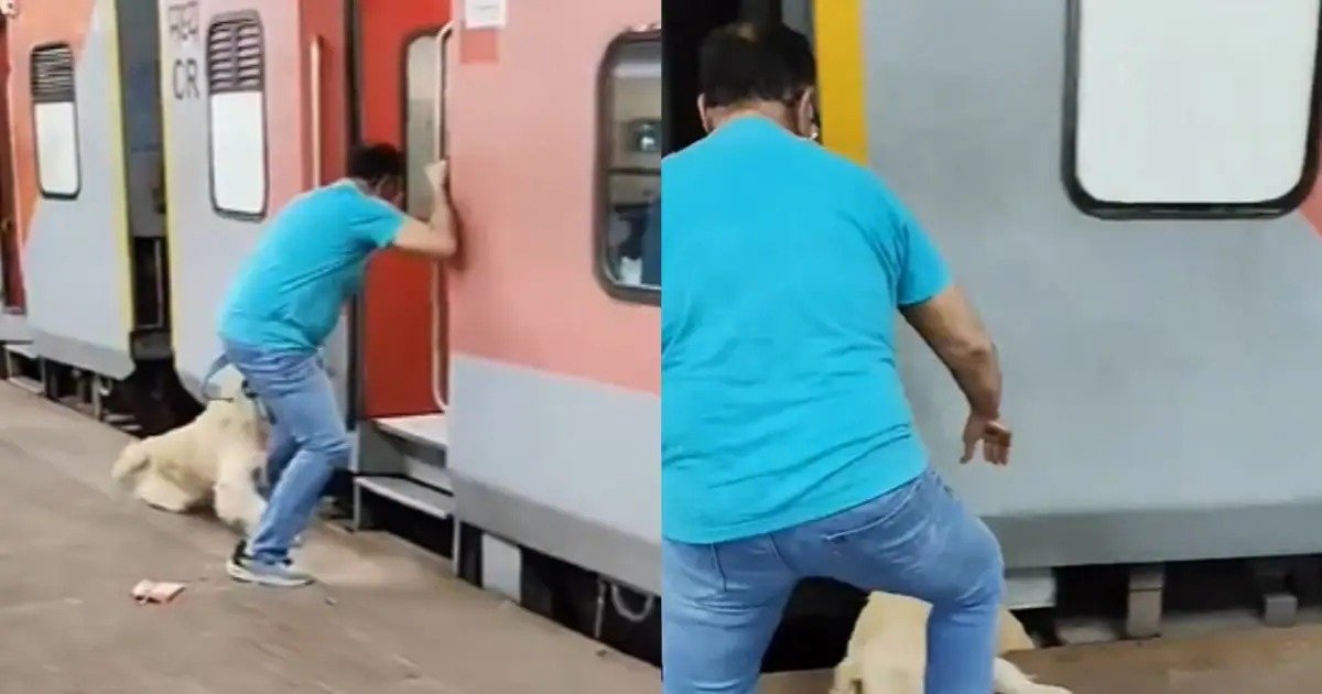 स्टंट या मूर्खता?चलती ट्रेन में कुत्ते के साथ हादसा,वायरल वीडियो ने लोगों को किया हैरान!