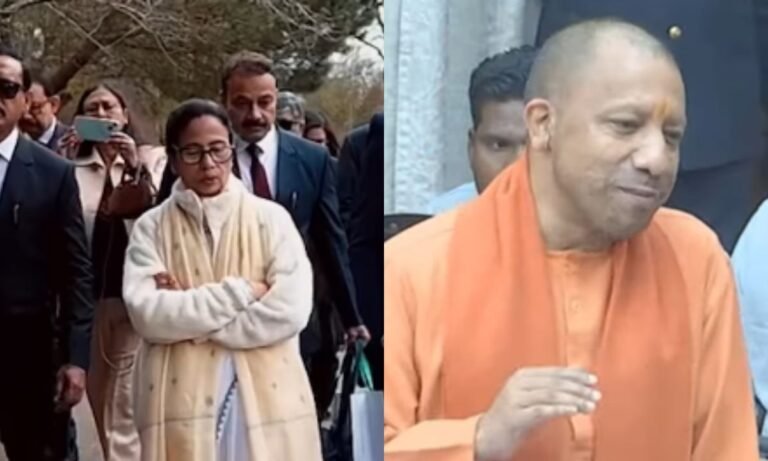 mamta yogi