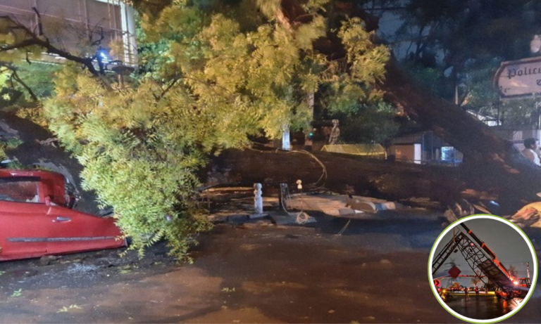 दिल्ली-NCR समेत उत्तर भारत में आंधी-तूफान का कहर, 15 से ज्यादा मौतें पेड़ उखड़े, खंभे गिरे, बिजली ठप