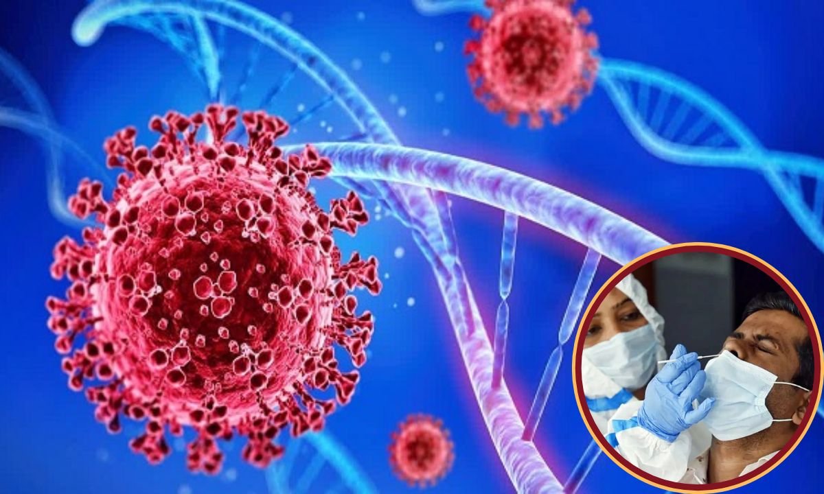 website.............new  (28)