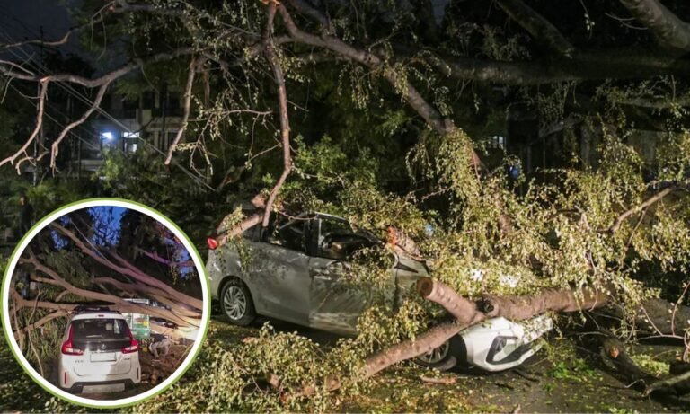 website.............new  (43)