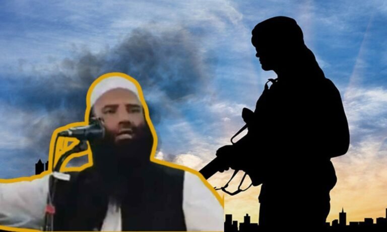 website.............new  (70)