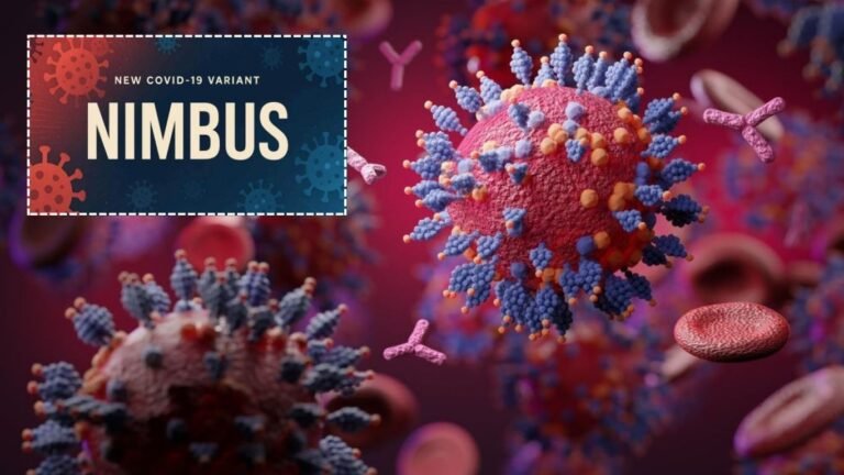 Untitled design (11)