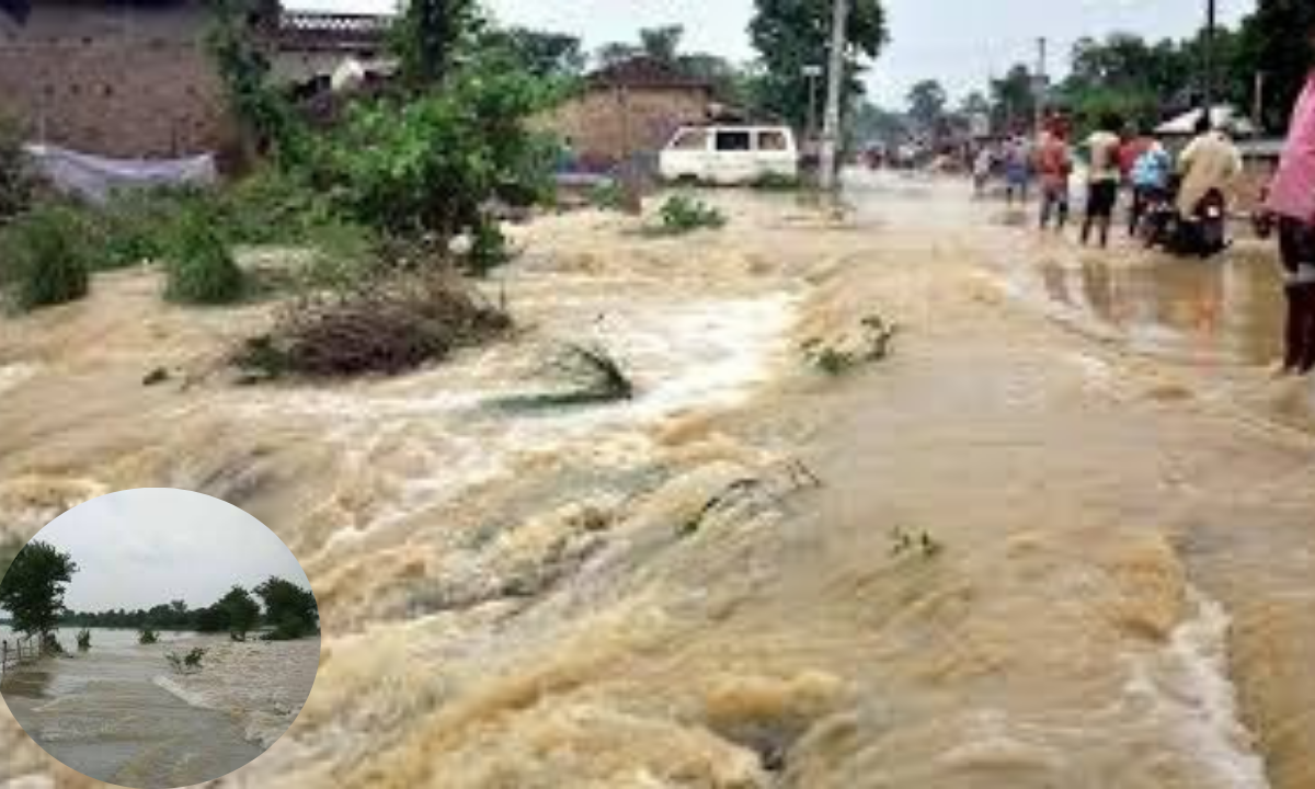 सिकल सेल रोग की समय पर पहचान से बच्चों की जान बचाना संभव, ICMR अध्ययन का खुलासा