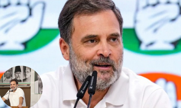 रेस के घोड़े और बारात के घोड़े को अलग करना होगा”: राहुल गांधी के बयान का क्या है मतलब?