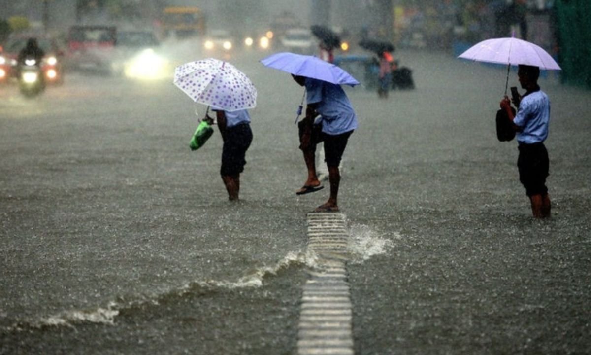 website.............new  - 2025-06-02T114701.897