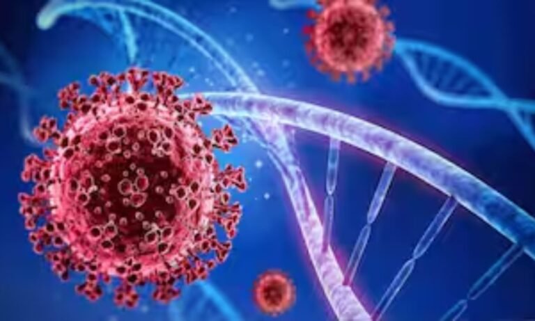 website.............new  - 2025-06-02T154953.647