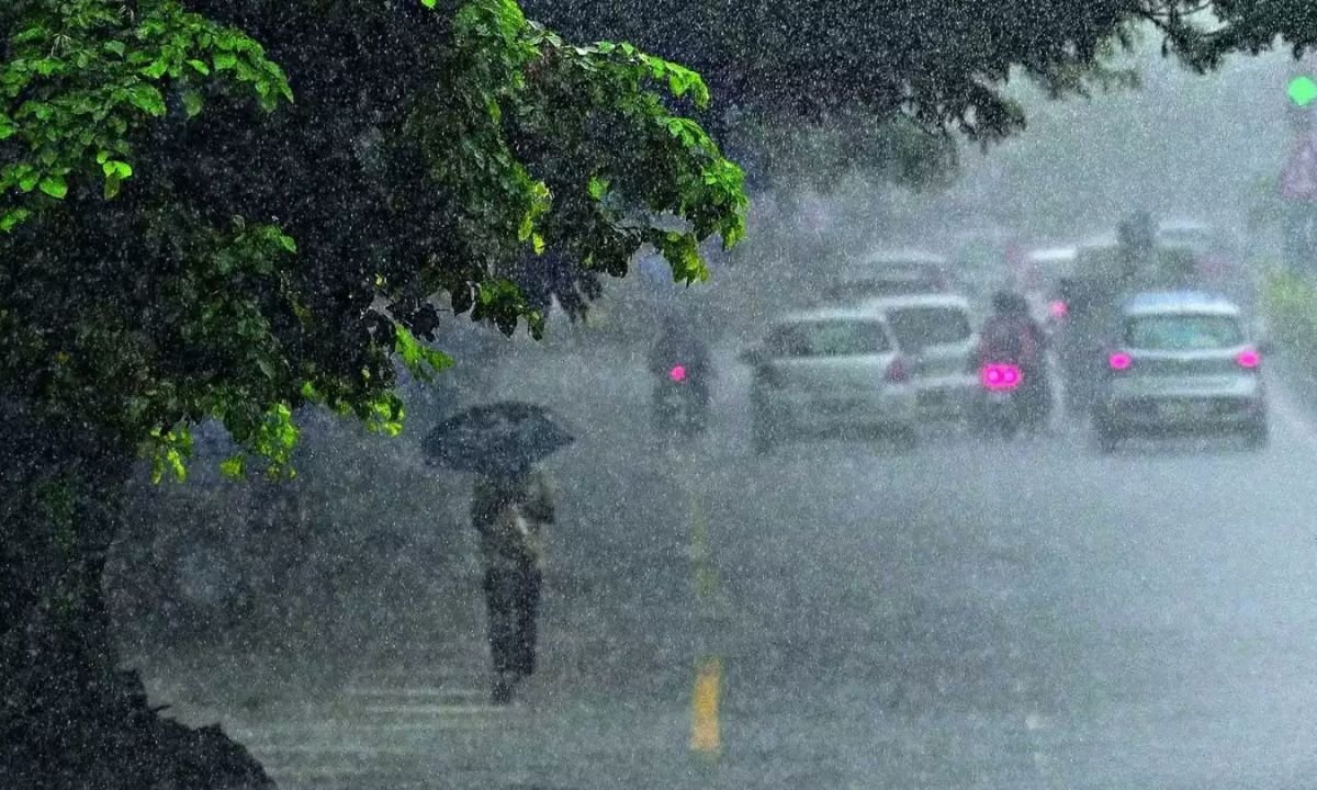 website.............new  - 2025-06-04T111029.110