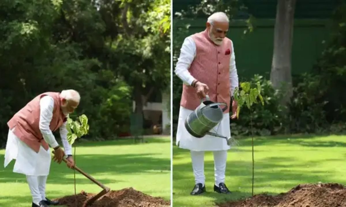 विश्व पर्यावरण दिवस: पीएम मोदी ने प्रधानमंत्री आवास में लगाया सिंदूर का पौधा