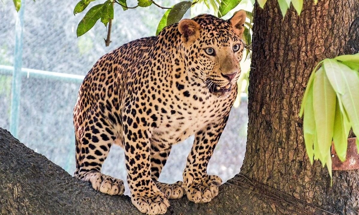 website.............new  - 2025-07-01T145608.723