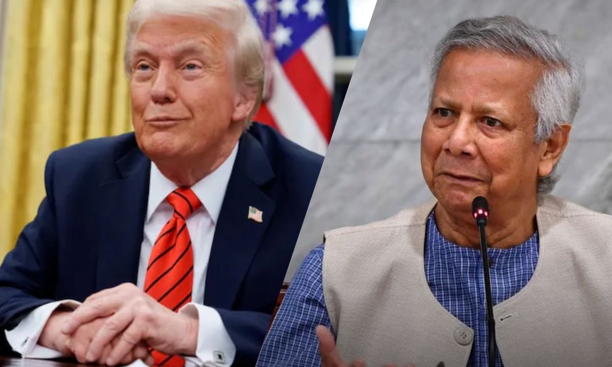 website.............new  (13)