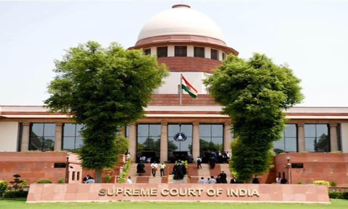 website.............new  (3)