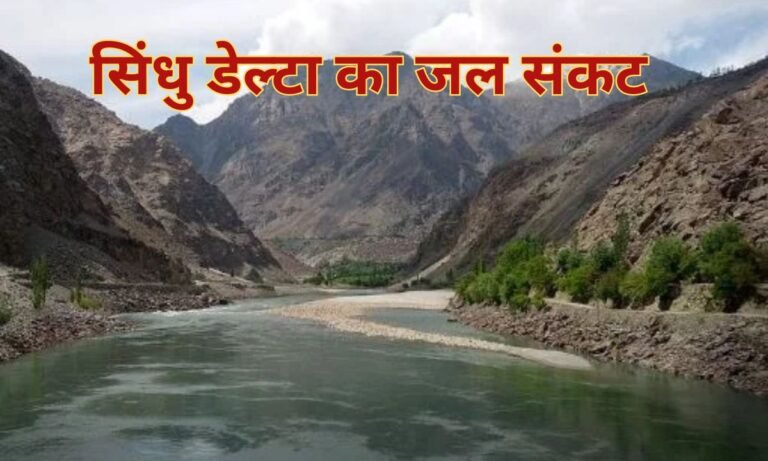 website.............new  (30)