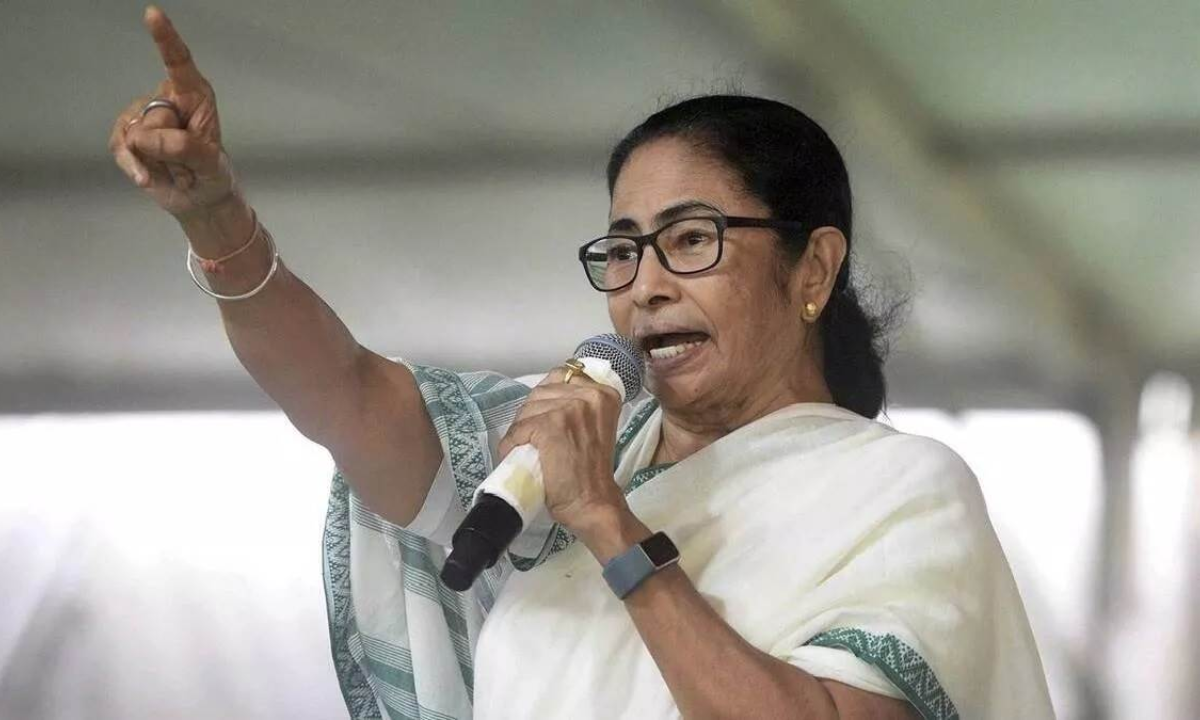 website.............new  (4)