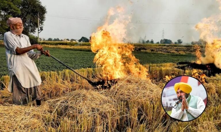 पंजाब में पराली जलाने पर प्रशासन ने कसा शिकंजा, 90 मामले दर्ज