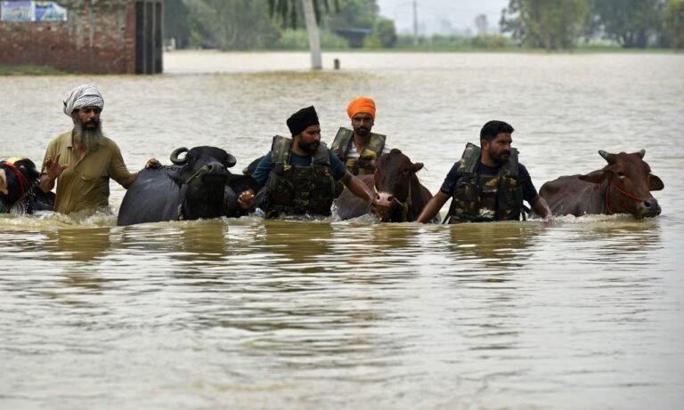 website.............new  - 2025-09-05T123043.092