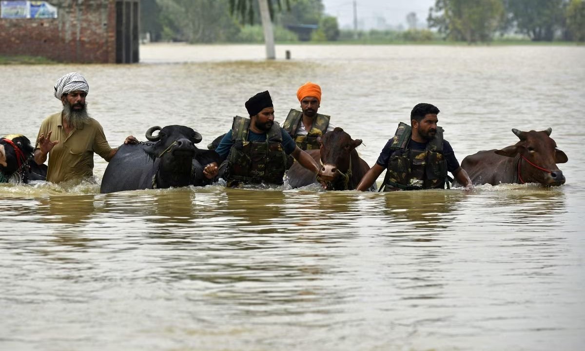 पंजाब में बाढ़ का कहर: सरकार और नेताओं का राहत कार्यों में योगदान