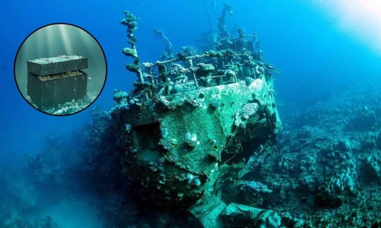 समुद्र से निकला 300 साल पुराना खजाना: फ्लोरिडा के खजाना तट से मिला सोना और चांदी