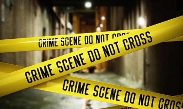 अहमदाबाद के पास त्रासदीपूर्ण हत्या-सुसाइड मामले का खुलासा…