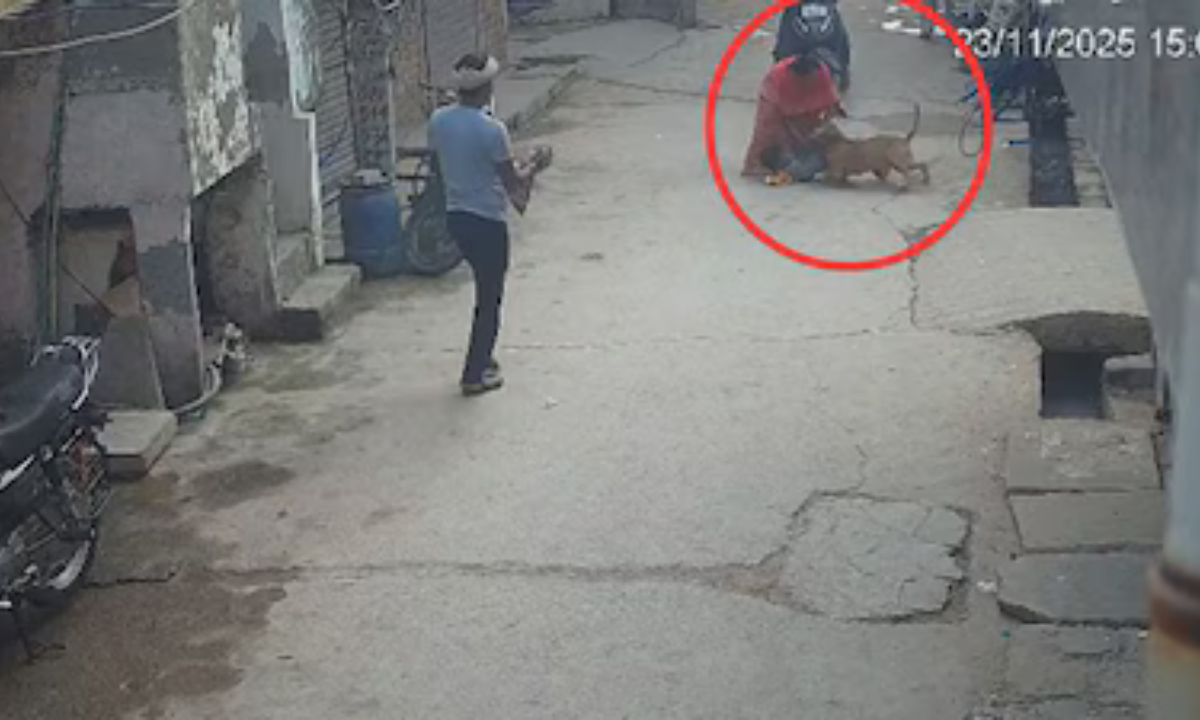 Delhi: कुत्ता हुआ हमलावर! 6 साल के बच्चे के कटे कान