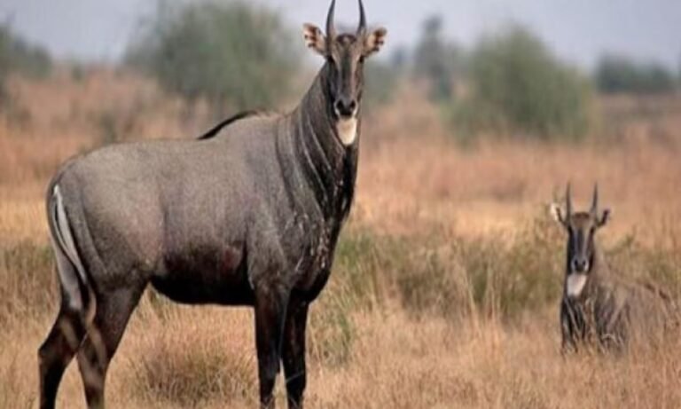 website.............new  (23)