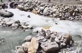 हिमाचल प्रदेश में बड़ा हादसा टला, पार्वती नदी के तेज बहाव में बहने से बाल-बाल बचे तीन पर्यटक, वीडियो वायरल