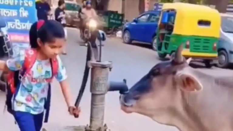 मासूमियत और इंसानियत का वायरल वीडियो: छोटी बच्ची ने प्यास से तड़पती गाय को पानी पिलाकर जीता दिल