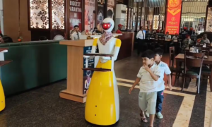 Murthal Robot Waiter