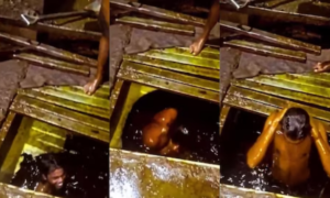 Mustard Oil Viral Video