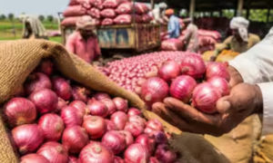 Onion Prices