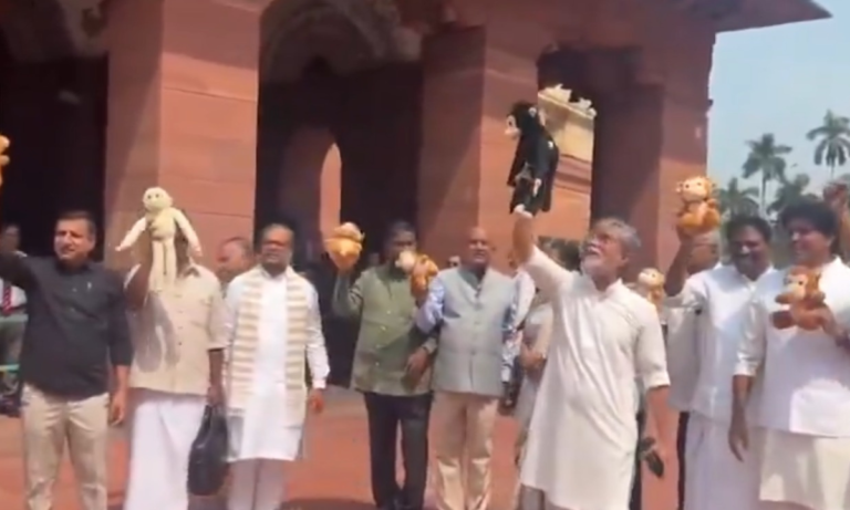 Parliament Protest