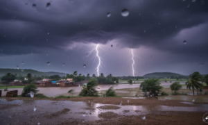UP Weather News